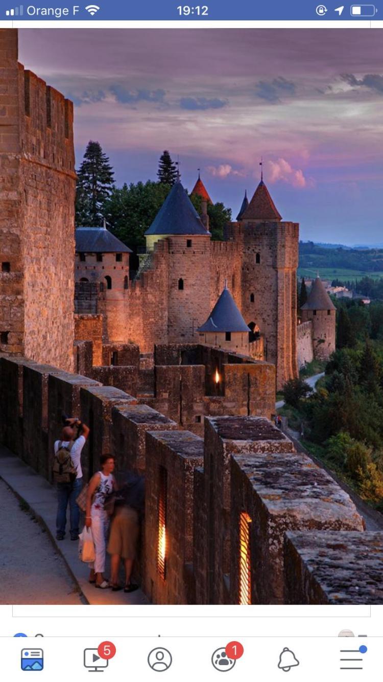 L'Oree De La Cite Carcassonne Eksteriør bilde