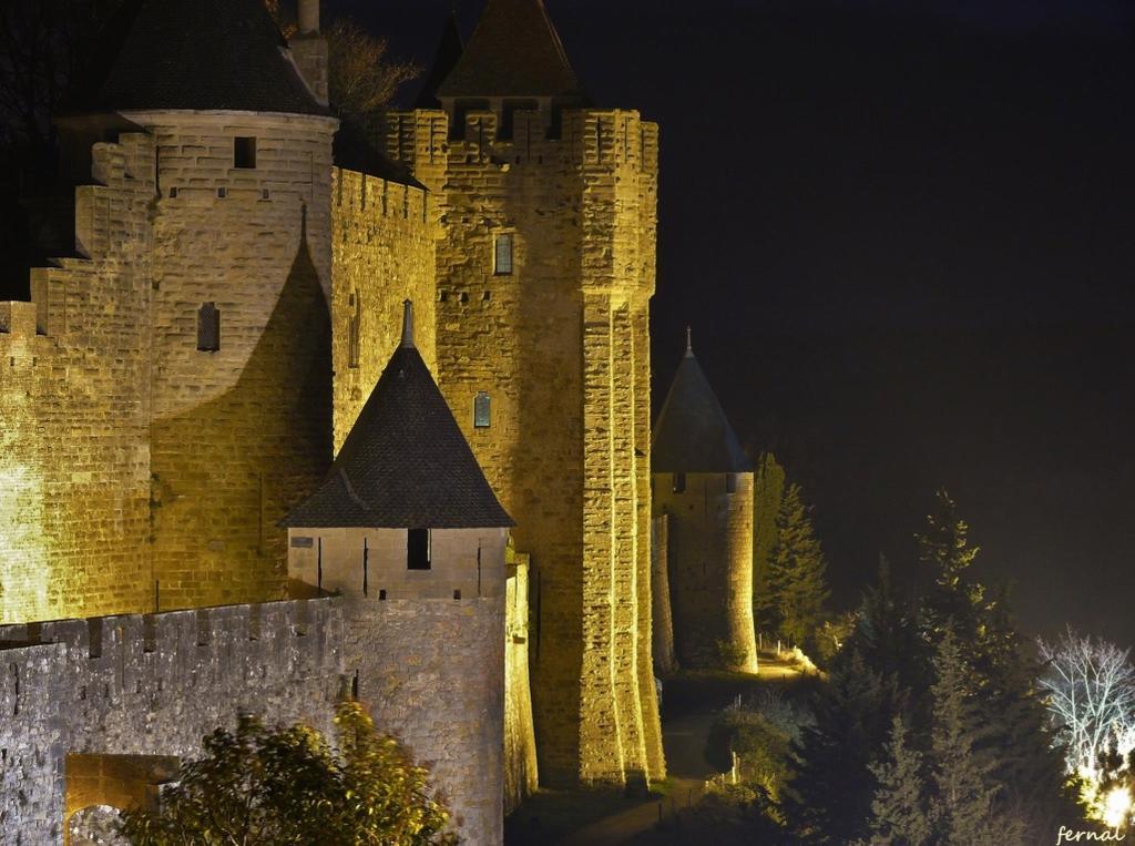 L'Oree De La Cite Villa Carcassonne Eksteriør bilde